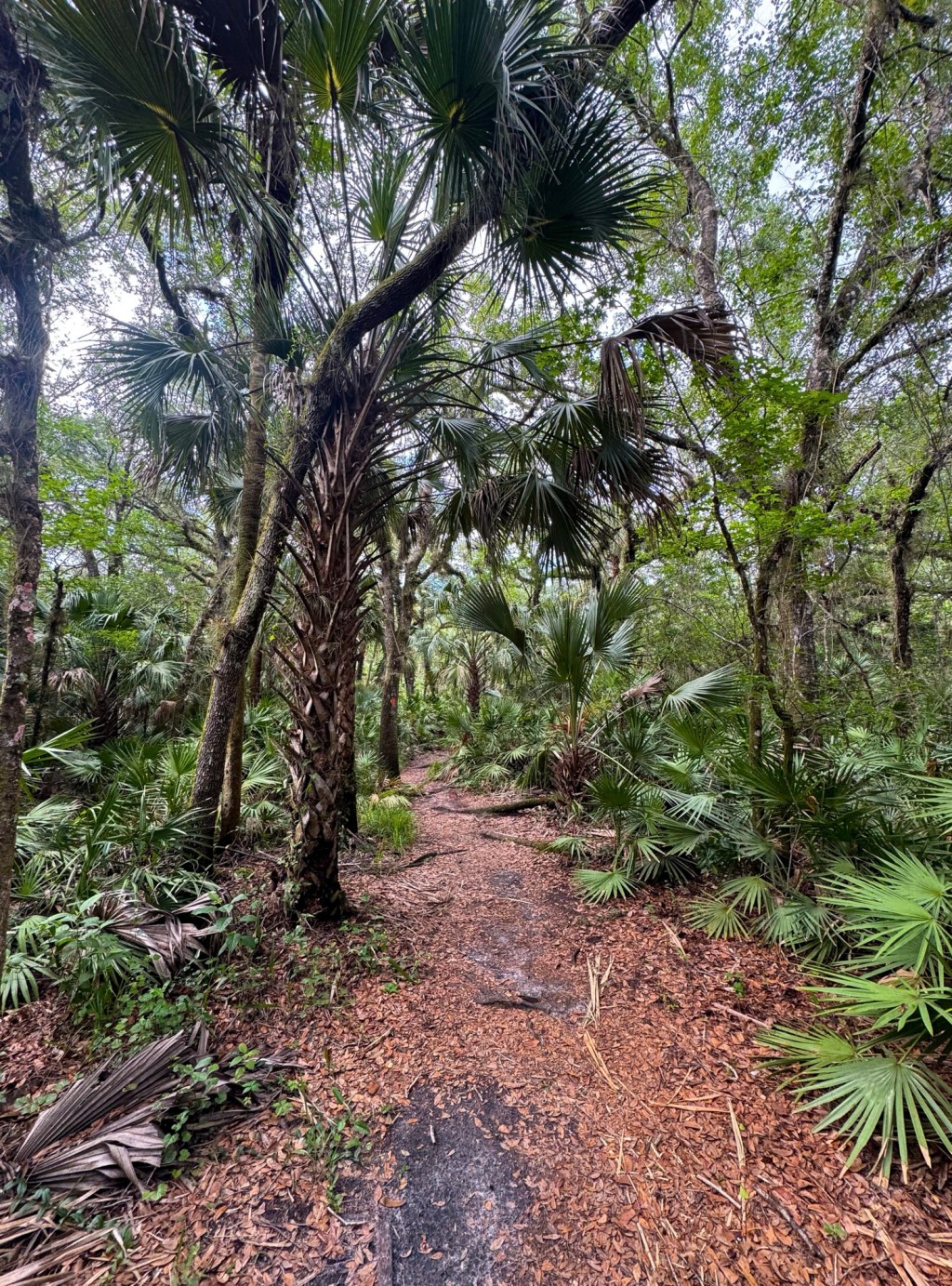 Adventure Chronicles: Stories of Growth and&nbsp;Exploration