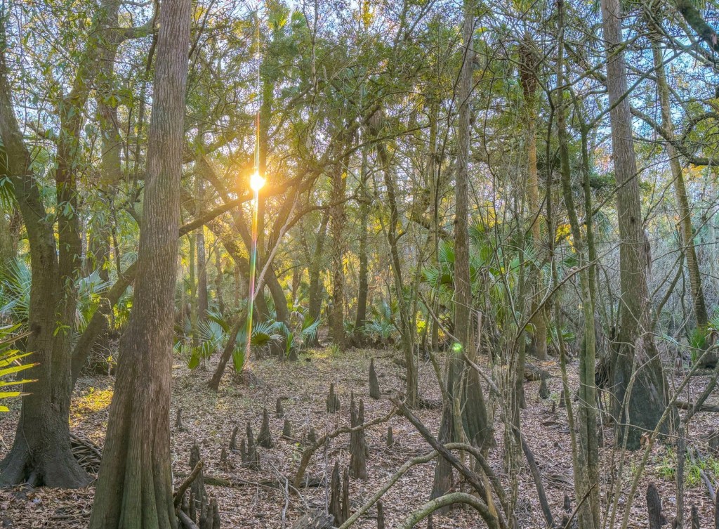 From Zero to 5K: My Hard Lessons in&nbsp;Running