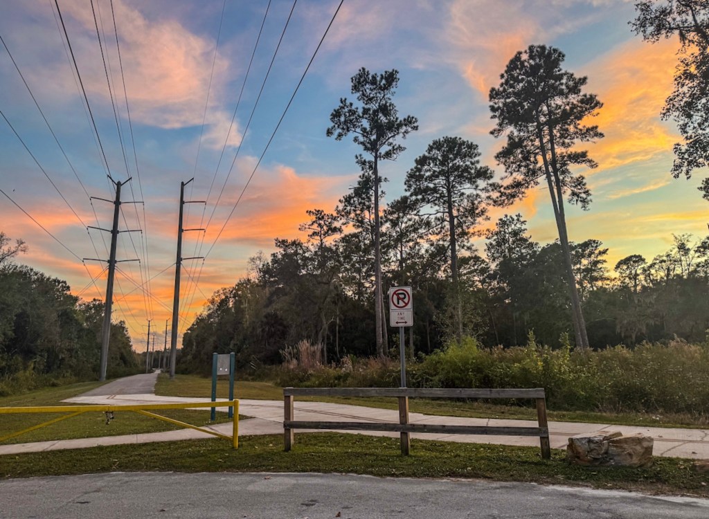 Reflecting on 2025: A Year of Growth, Challenges, and Unexpected&nbsp;Wins